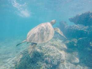 Marine Corps Base Hawaii beaches