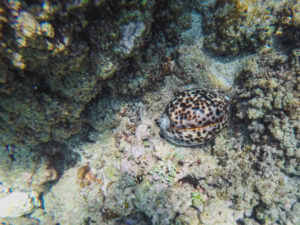 Marine Corps Base Hawaii beaches