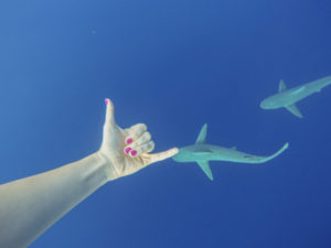 Oahu tourist bucket list