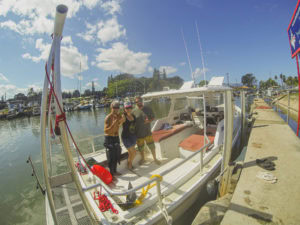 cage free shark swim in Hawaii