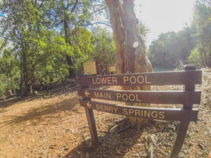 Berry Springs Nature Reserve