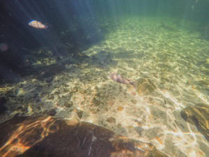 day trip to Litchfield National Park