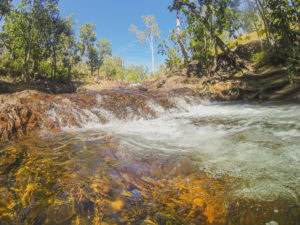 day trip to Litchfield National Park