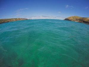 Snorkeling at Hanauma Bay