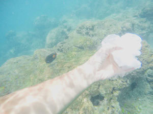 Snorkeling at Hanauma Bay