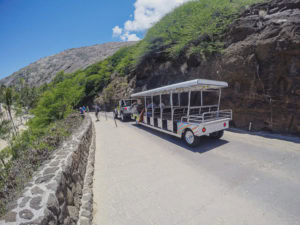 Snorkeling at Hanauma Bay