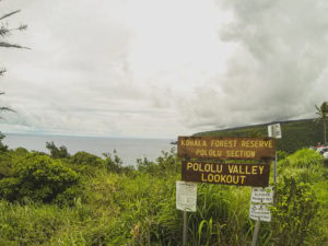 Pololu Valley lookout