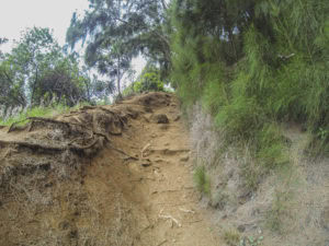 Pololu Valley lookout