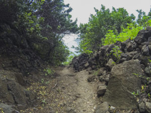 Pololu Valley lookout