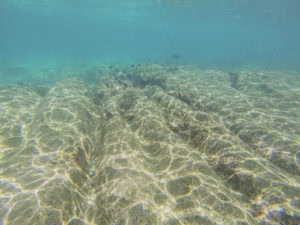 Snorkeling at Three Tables