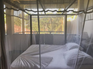 yoga retreat in Sri Lanka