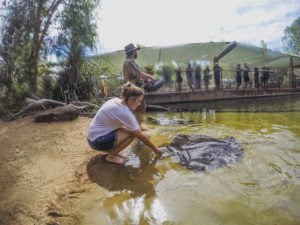 Territory Wildlife Park