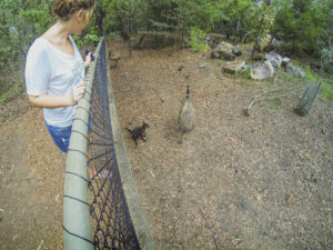 Territory Wildlife Park