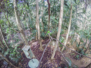 Territory Wildlife Park