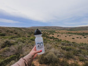 Amakhala Game Reserve Bush Lodge