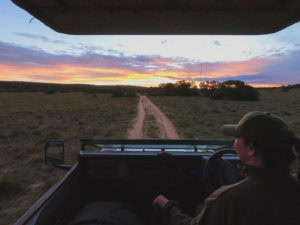 Amakhala Game Reserve Bush Lodge