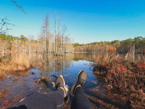 Easy hikes in Fayetteville