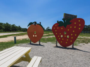 worlds largest strawberry building