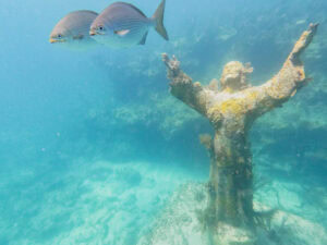 Christ of the Abyss snorkel tour