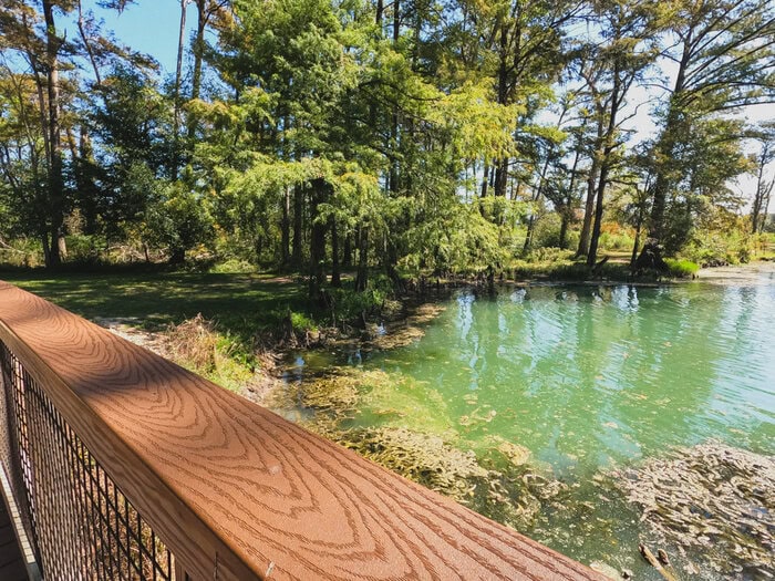 A complete guide with everything you need to know to prepare for an epic day trip to Florida Caverns State Park.