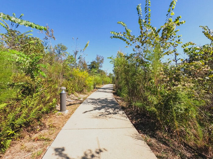 A complete guide with everything you need to know to prepare for an epic day trip to Florida Caverns State Park.