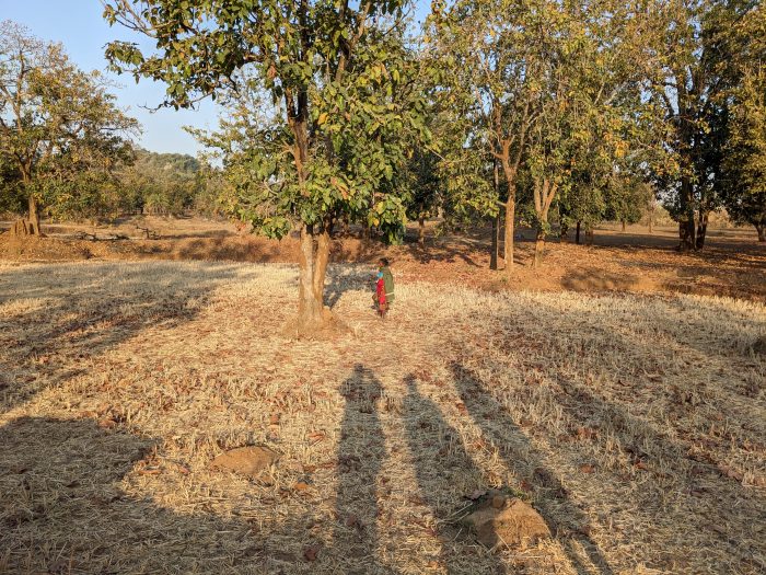 kanker Kondagaon in Chattisgarh