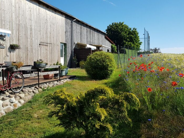 blick aus der fewo 1