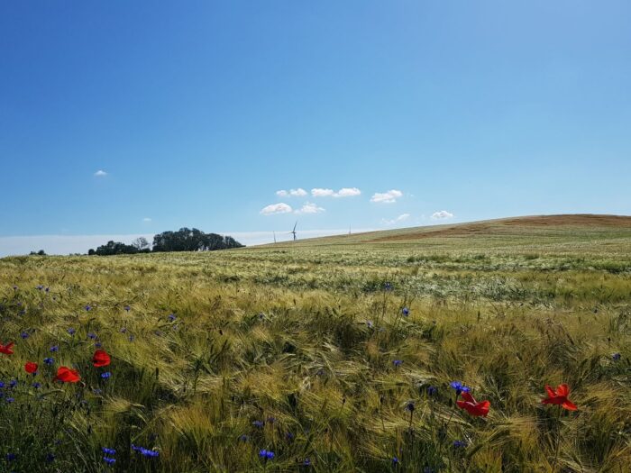 blick aus der fewo 5