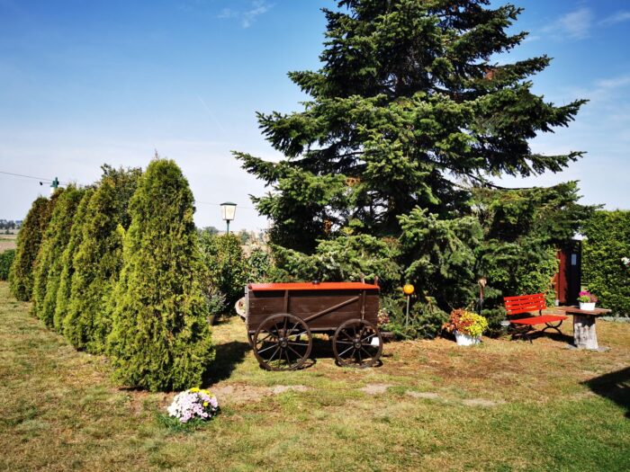 restaurierter Wagen als Bar