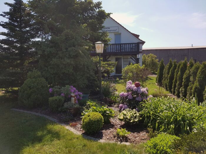 kleines Blumenensembles