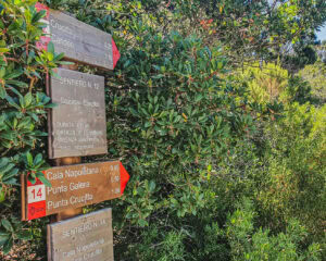 how to hike to Cala Napoletana