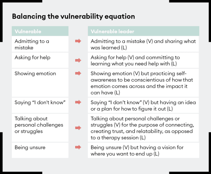 Figure 2: Balancing the vulnerability equation