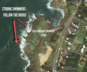 Snorkeling at Sharks Cove