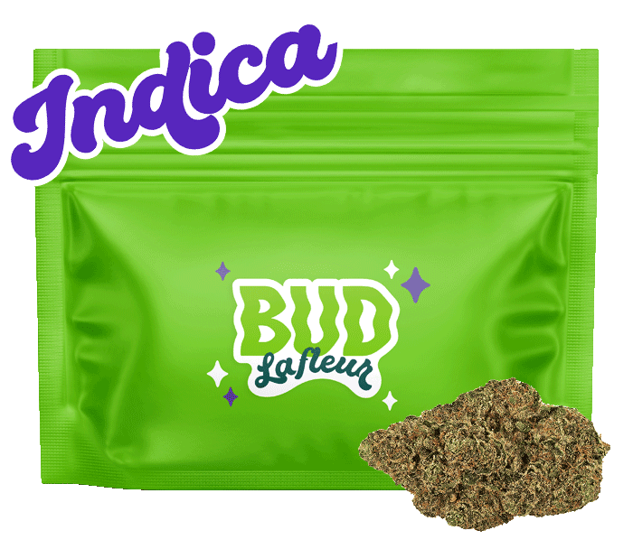 Chiqui Milkshake 7g <br>Indica <br>28.1% | 3.44% Terps - Image 3