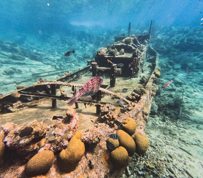 how to plan an epic trip to Curacao