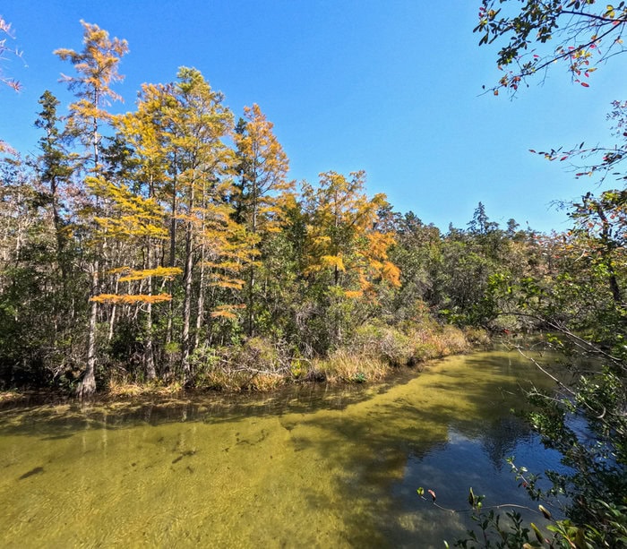 Turkey Creek Park in Niceville