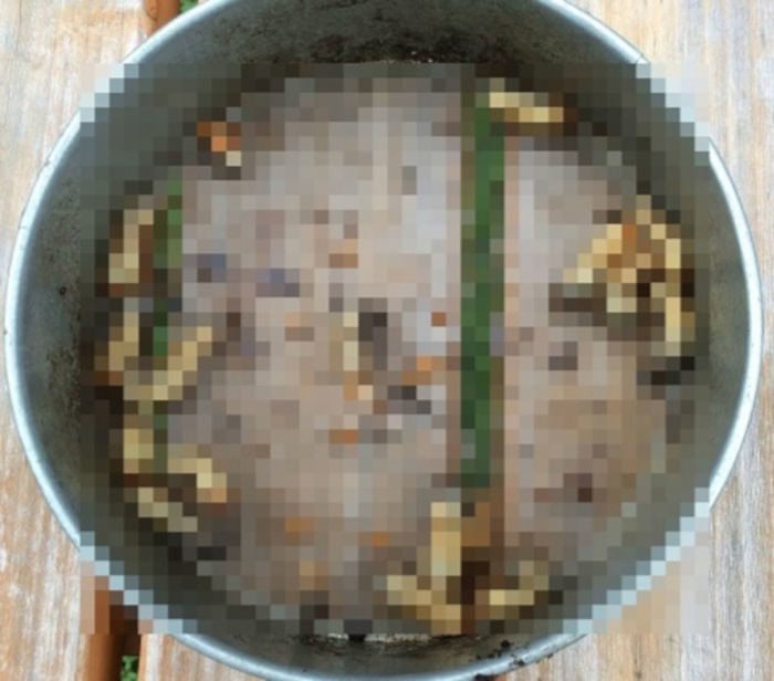 コガネムシ幼虫16匹