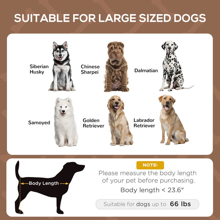 elevated dog cot bed