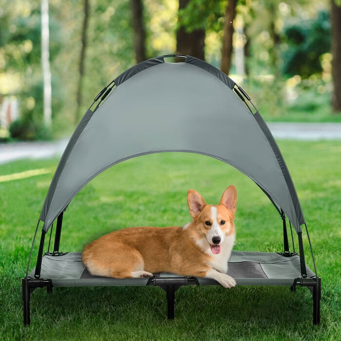 elevated dog bed