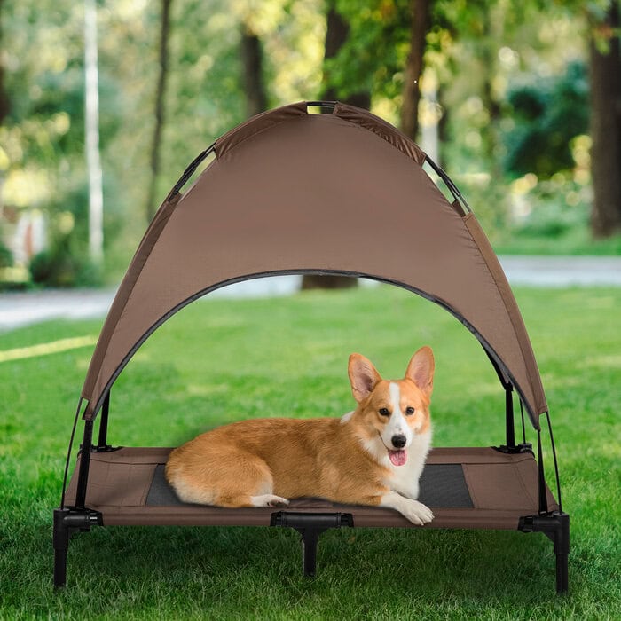 Elevated Dog Cot Bed: Trusted 36-Inch Portable Pet Bed elevated dog cot bed