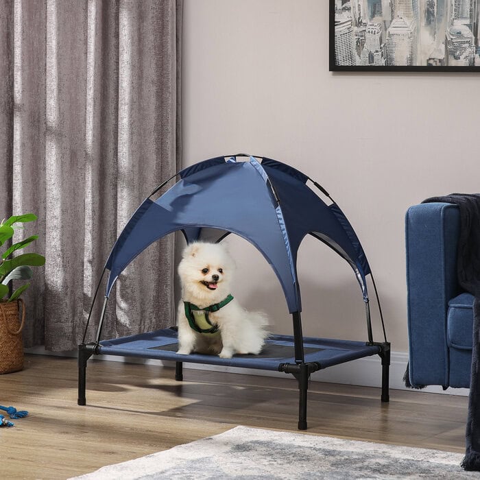 elevated dog cot bed