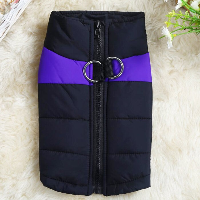 dog winter coat