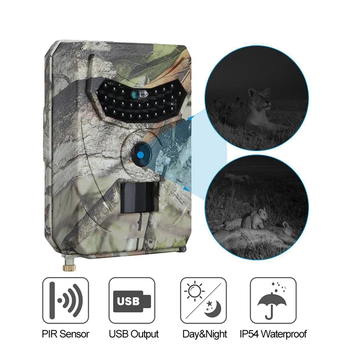 wildlife camera