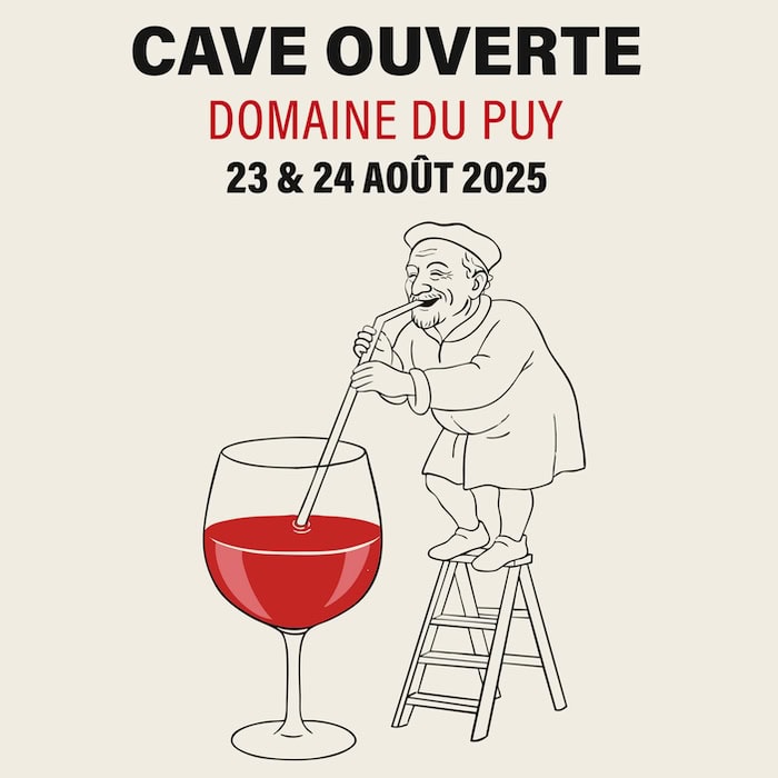 cave ouverte chinon