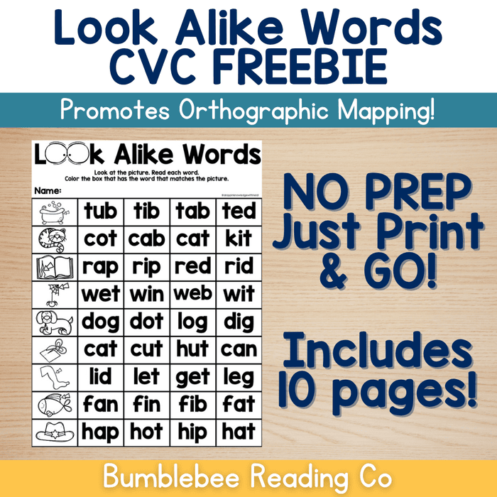 Look Alike Words - CVC Words