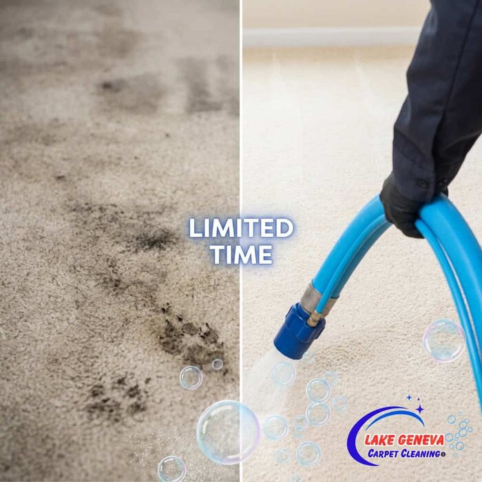 Deep carpet cleaning removes dirt and stains effectively in Lake Geneva homes. Experience cleaner, h.