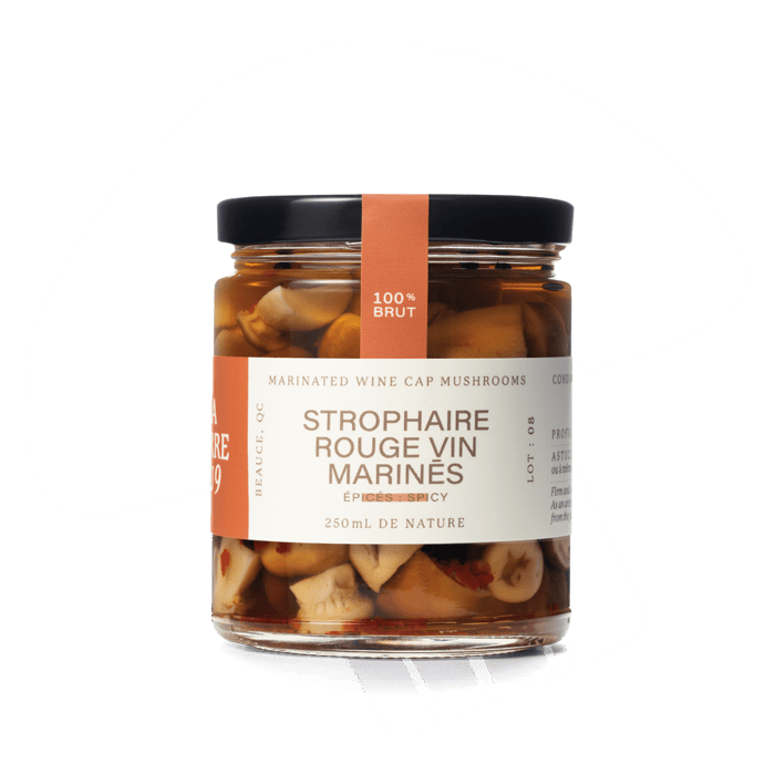 La terre du 9-Champignons strophaire rouge vin marinés épicés-Condiments