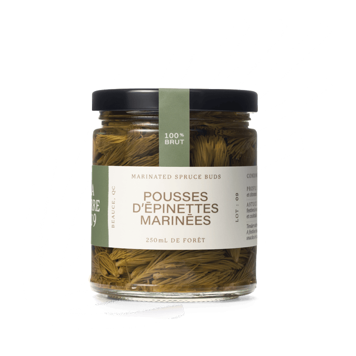 La terre du 9-Pousses d'épinettes marinées-Condiments