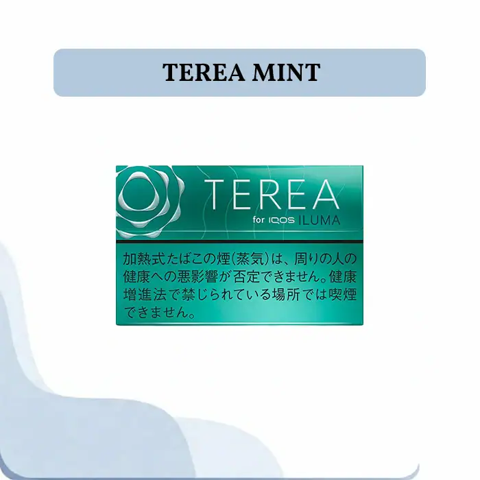 IQOS Terea Mint Japan 200 sticks box for ILUMA Dubai