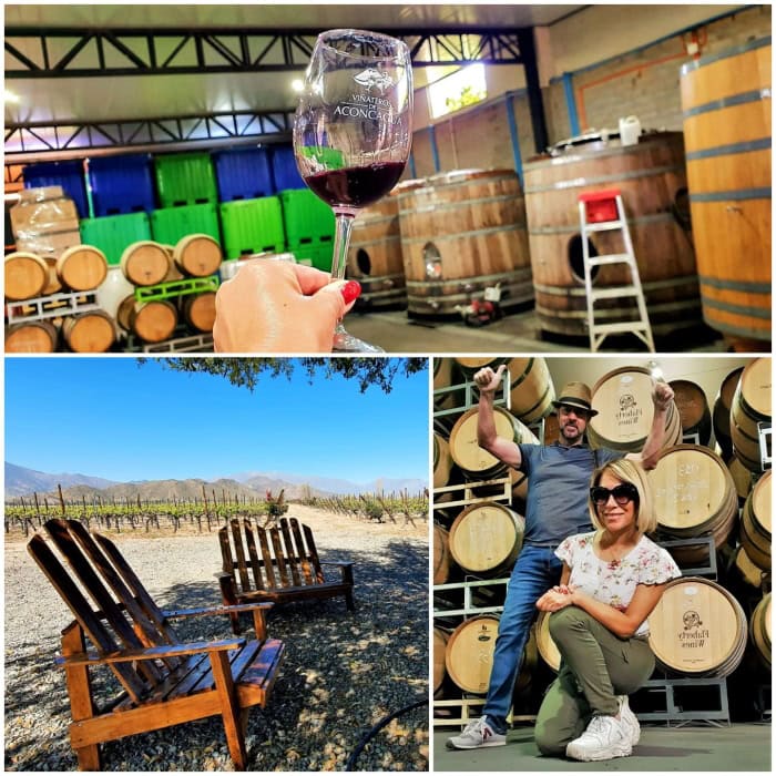 Photos from the Aconcagua wine region